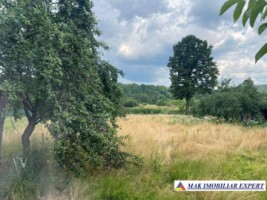 casa-cu-3-camere-si-teren-de-2500-mp-de-vanzare-in-aninoasa-arges-14