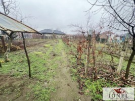 casa-de-vanzare-in-craciunelu-de-jos-13