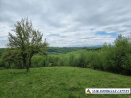 teren-15-ha-intravila-bughea-de-sus-arges-de-vanzare-3