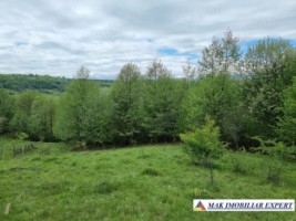 teren-15-ha-intravila-bughea-de-sus-arges-de-vanzare-4