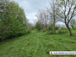 teren-15-ha-intravila-bughea-de-sus-arges-de-vanzare-5
