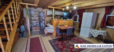 vila-in-muntii-dambovicioarei-4-camere-teren-1700-mp-arges-18