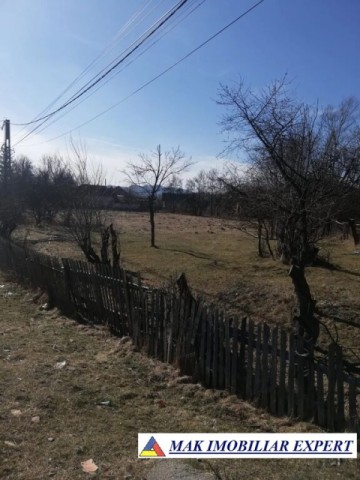 teren-intravilan-3200-mp-de-vanzare-in-bughea-de-sus-arges-1