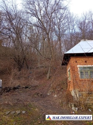 casa-de-vacanta-4-camere-teren-1800-mp-de-vanzare-in-bradulet-arges-39