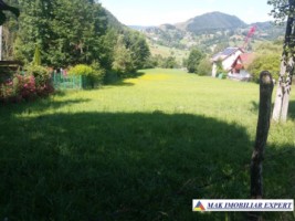teren-intravilan-3630-mp-de-vanzare-in-valea-cheii-dambovicioara-arges-2