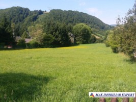 teren-intravilan-3630-mp-de-vanzare-in-valea-cheii-dambovicioara-arges