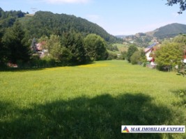 teren-intravilan-3630-mp-de-vanzare-in-valea-cheii-dambovicioara-arges-1