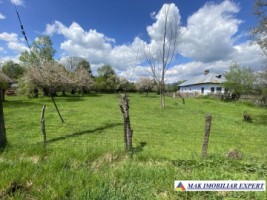 casa-la-tara-cu-3-camere-si-teren-de-4000-mp-de-vanzare-in-bughea-de-sus-arges-10