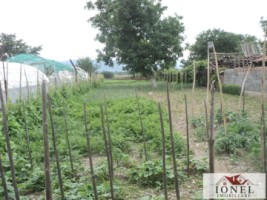 vanzare-casa-veche-in-teleac-3