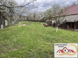 casa-de-vacanta-mihaiesti-judetul-arges-pret-79000-euro-7