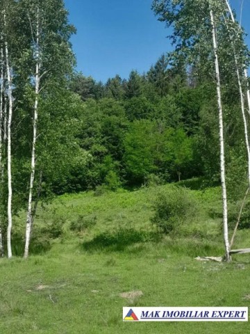 teren-intravilan-191-ha-campulung-muscel-arges-2