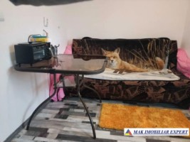 vila-cu-5-camere-si-teren-de-150-mp-de-vanzare-in-rucar-arges-2
