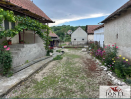 vanzare-casa-in-henig-2