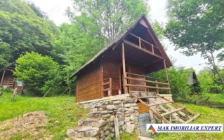 vand-cabana-2-camere-teren-182-mp-bradulet-arges-1