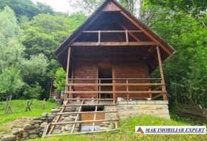 vand-cabana-2-camere-teren-182-mp-bradulet-arges