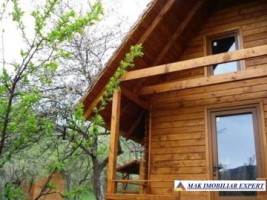 vand-cabana-2-camere-teren-182-mp-bradulet-arges-10