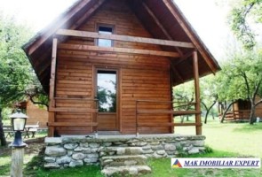 vand-cabana-2-camere-teren-182-mp-bradulet-arges-13