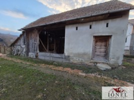 vanzare-casa-in-henig-9