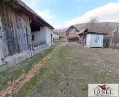 vanzare-casa-in-henig-10