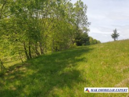 vand-teren-1000-mp-faneata-piatra-galbena-ciocanu-dambovicioara-arges-19