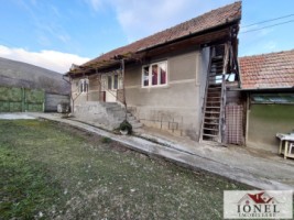 vanzare-casa-in-henig-12