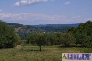 teren-2100-mp-extravilan-de-vanzare-in-balilesti-arges-ideal-pentru-constructii-rezidentiale-0
