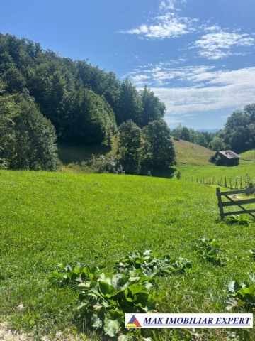 vand-teren-intravilan-2000-mp-in-ciocanu-dambovicioara-arges-6