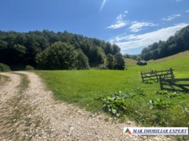 vand-teren-intravilan-2000-mp-in-ciocanu-dambovicioara-arges