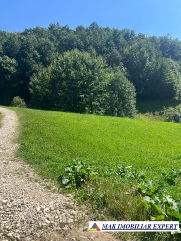 vand-teren-intravilan-2000-mp-in-ciocanu-dambovicioara-arges-7