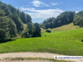 vand-teren-intravilan-2000-mp-in-ciocanu-dambovicioara-arges-8