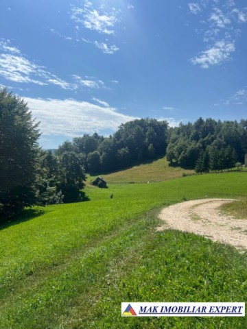 vand-teren-intravilan-2000-mp-in-ciocanu-dambovicioara-arges-4