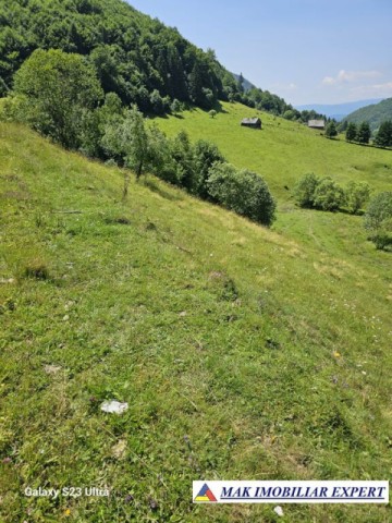 teren-14-ha-extravilan-de-vanzare-in-ciocanu-dambovicioara-arges-6