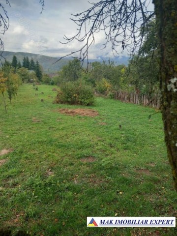 vand-teren-1000-mp-intravilan-marcus-campulung-mudcel-arges-1
