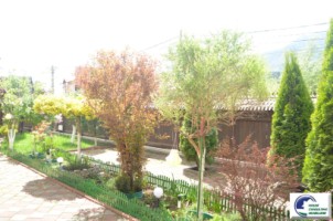 vila-deosebita-situata-in-bustenizamora-1