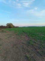 teren-de-vanzare-0