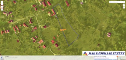 teren-intravilan-de-5500-mp-de-vanzare-valea-mare-pravat-arges