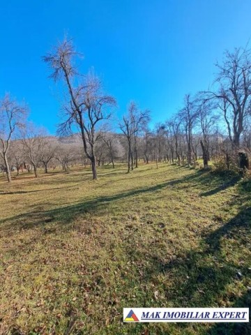 vand-teren-2000-mp-intravilan-in-corbi-arges-1