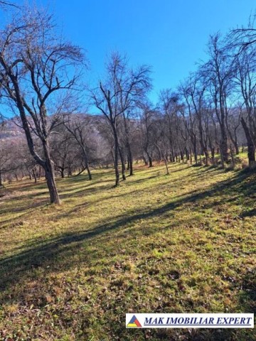 vand-teren-2000-mp-intravilan-in-corbi-arges