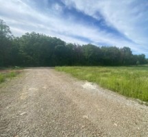 paulesti-coccosesti-ter-intrav-langa-padure-lot-670mp-52000eu