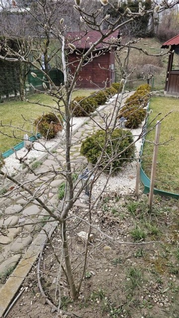 parc-bucov-vila-sp1-ter-371-mp-la-700-euroluna-48