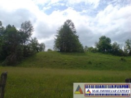 teren-extravilan-24-ha-de-vanzare-in-bratioara-albestii-de-muscel-arges