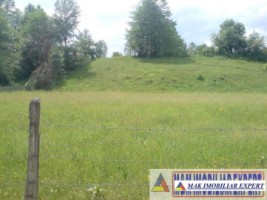 teren-extravilan-24-ha-de-vanzare-in-bratioara-albestii-de-muscel-arges-1