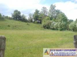 teren-extravilan-24-ha-de-vanzare-in-bratioara-albestii-de-muscel-arges-2
