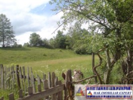 teren-extravilan-24-ha-de-vanzare-in-bratioara-albestii-de-muscel-arges-3