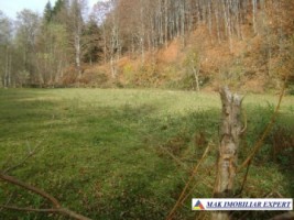 teren-extravilan-24-ha-de-vanzare-in-bratioara-albestii-de-muscel-arges-6