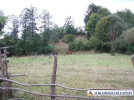 teren-extravilan-24-ha-de-vanzare-in-bratioara-albestii-de-muscel-arges-4