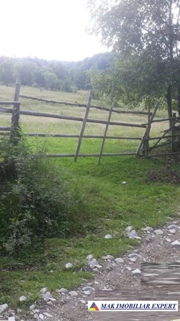 teren-extravilan-24-ha-de-vanzare-in-bratioara-albestii-de-muscel-arges-8