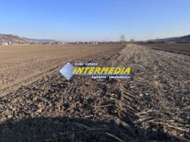 teren-intravilan-de-vanzare-in-sard-suprafete-600-800-mp-2