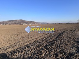 teren-intravilan-de-vanzare-in-sard-suprafete-600-800-mp-1