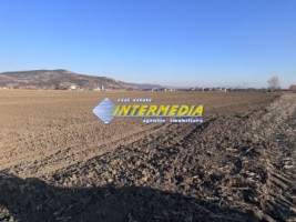 teren-intravilan-de-vanzare-in-sard-suprafete-600-800-mp-4